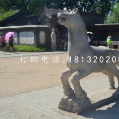 小馬石雕，公園動物石雕