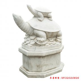 石龜?shù)袼?>
                            石龜?shù)袼?                       </a>
                        </li>
                                            <li>
                        <a href=